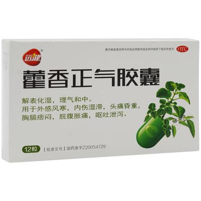 【远健】藿香正气胶囊0.3g*12粒/盒