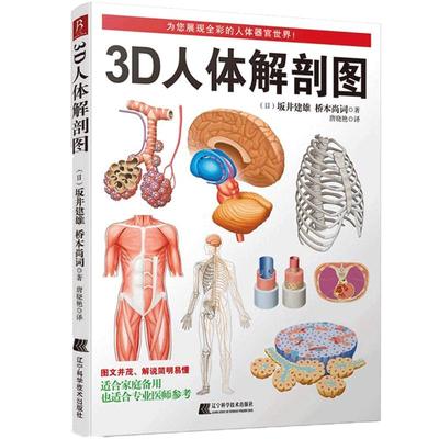 3d人体解剖图彩色入门西医