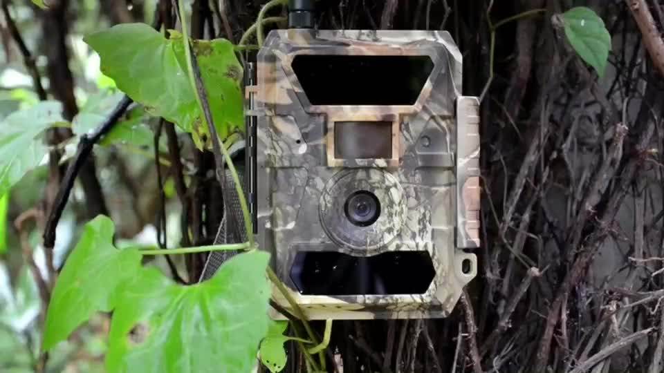 Lte Night Vision Digital Wild Game Trail 4g Hunting Camera Buy Lte