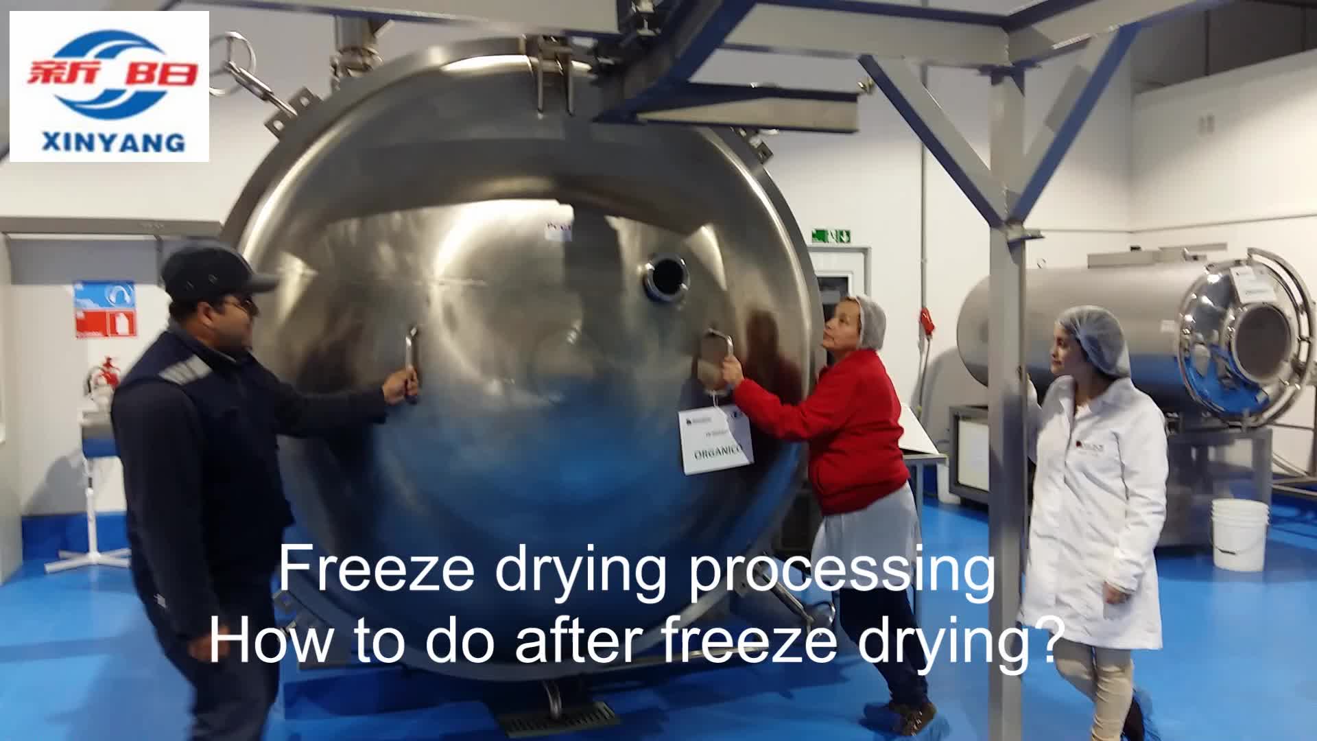 Low Energy Consumption Vacuum Freeze Dryer For Fruits And Vegetables
