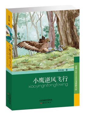 动物小说大王沈石溪品味成长书系·小鹰逆风飞行