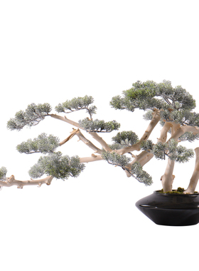 仿真新中式风盆栽玄关软装罗汉松