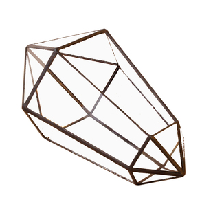 创意苔藓微缩景观盆栽办公室桌面闷养生态瓶趣味迷你植物节日礼物