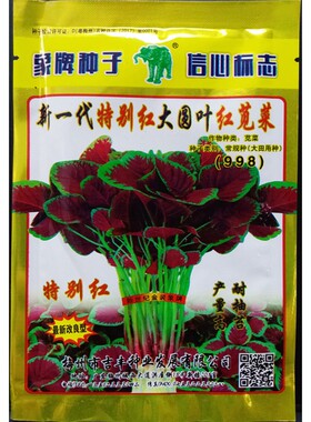 苋菜大圆叶花红象牌港种种子