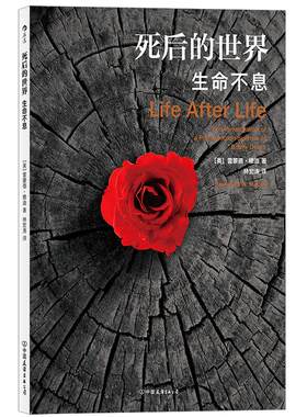 后浪死后的世界雷蒙德·穆迪