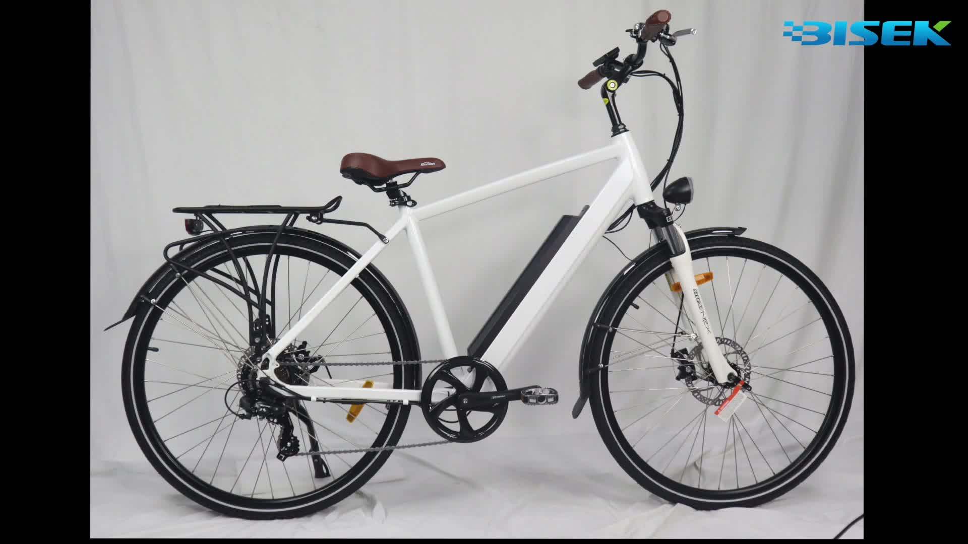 36v electric bike