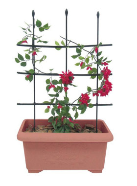 爬藤架花盆阳台铁线莲月季