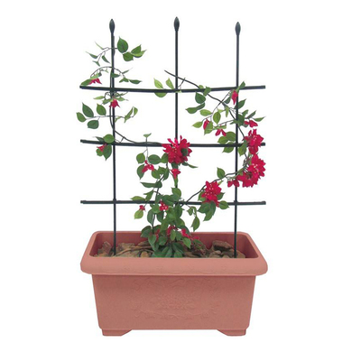 爬藤架花盆阳台铁线莲月季