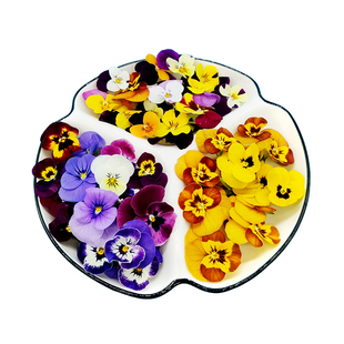三色堇食用花新鲜三色花50朵西餐蛋糕烘培 装饰摆盘蝴蝶花点缀