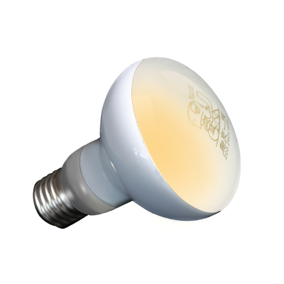 乌龟晒背灯加热保温灯uvb灯uva太阳灯爬宠加热龟缸灯保温补钙杀菌