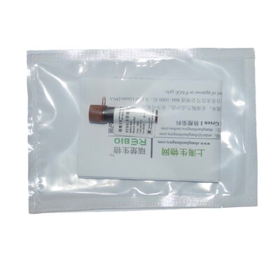 10000×核苷酸胶体染料SYBR Green I 100ul R04015 核酸电泳