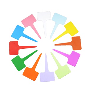 塑料园艺T型花卉园艺标签 标牌多肉植物兰花西瓜防水标记花盆插牌