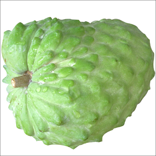 海南三亚水果释迦番荔枝佛头果5斤装特大果释迦摩尼果牟顺丰