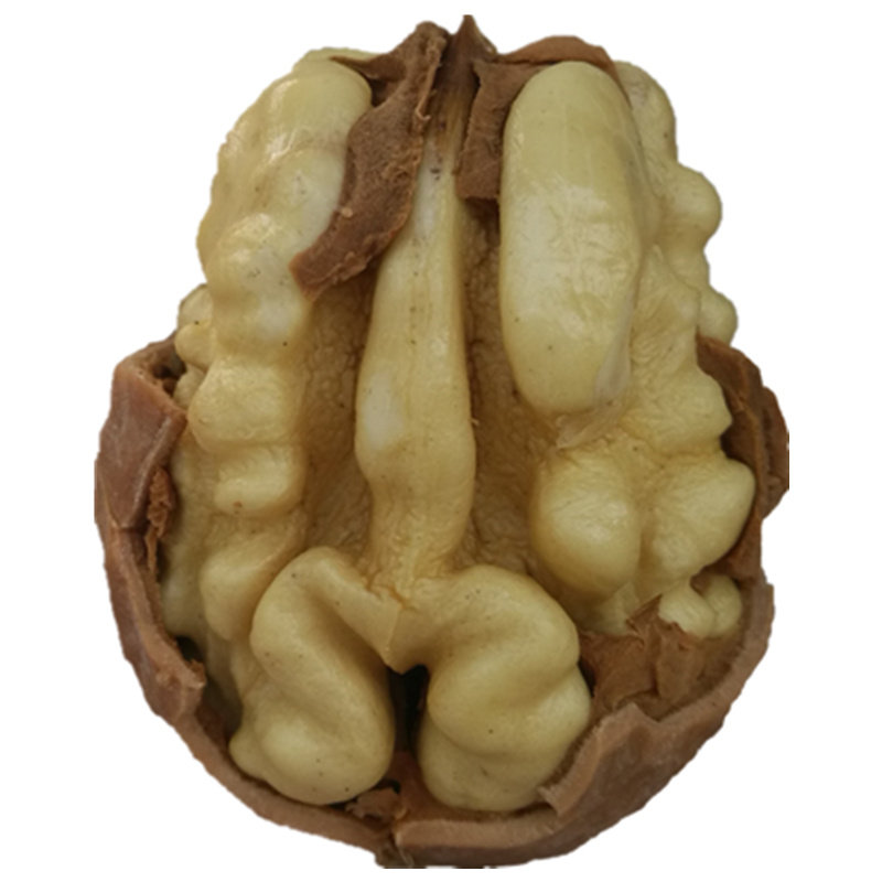 野生核桃坚果新货原味