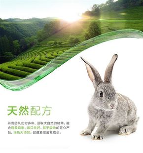食物饲料粮食 费20斤幼兔兔子吃 免邮 纳必吉进口苜蓿草兔粮全国