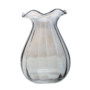 客厅北欧玻璃花瓶透明清新水培水养鲜花满天星干花小插花瓶摆件