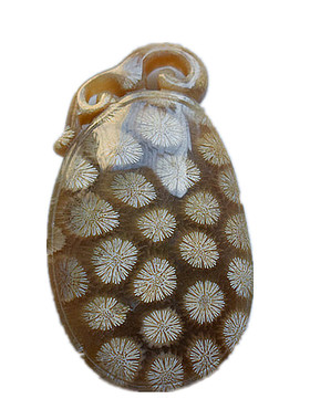 天然珊瑚玉菊花石吊坠