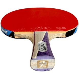 正品银河乒乓球拍横拍九星专业级进攻型9星乒乓球拍单拍直拍1只