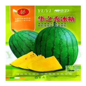 豫艺种业礼品西瓜种子 华之秀冰糖西瓜黄瓤中小果西瓜椭圆型 包邮