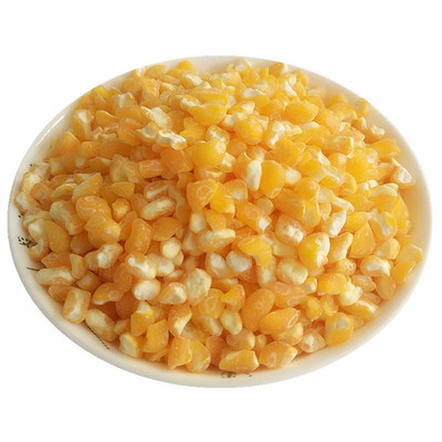 中粒笨大碴子2斤5斤新粮东北农家粗粮玉米碎去皮苞米茬子煮大碴粥