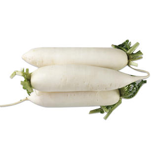 新鲜白萝卜2斤左右 农家蔬菜清甜脆水嫩大萝卜 满5件包邮