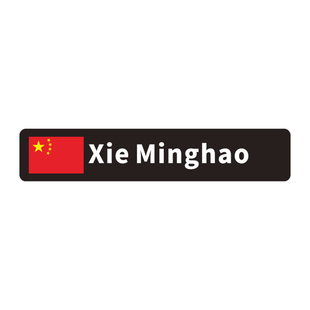 自行车公路车环法赛车 国旗个人姓名贴定制定做 样式二