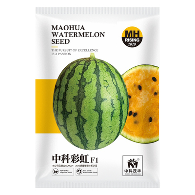 中科瓜果种子彩虹礼品花皮小西瓜