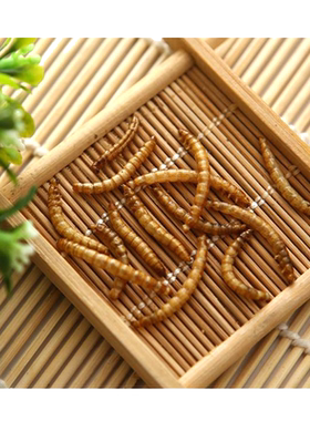 大麦虫干龟鸟粮饲料面包虫干