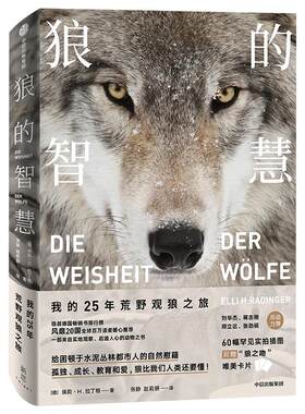 狼的智慧 我的25年荒野观狼之旅拉丁格著动物智慧 进化论 狼性 适应力 竞争力 领导力 人性 狼的百科 狼的行为中信出版社图书 正版