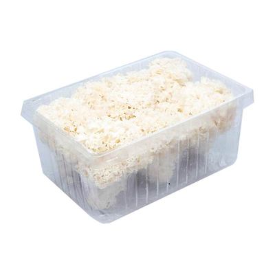 新鲜绣球菌1000g/盒食材配菜菜品