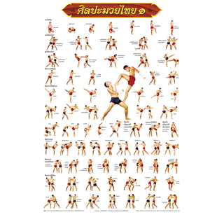 泰国进口古泰拳海报动作图108式招式壁画拳馆装饰画武馆挂画壁纸