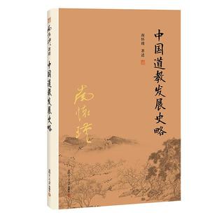 【官方正版】南怀瑾本人授权 中国道教发展史略（第二版）南怀瑾著作  复旦大学出版社 南怀瑾选集 哲学宗教国学经典书籍道家古书