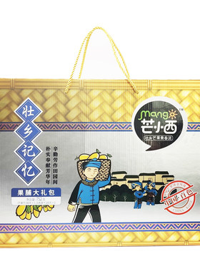 广西独立包装百香果干