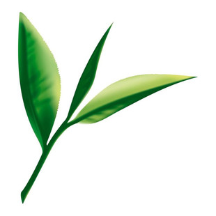 2025新茶叶 海青绿茶 赛崂山 炒青特级碧螺春散装 高档礼盒装