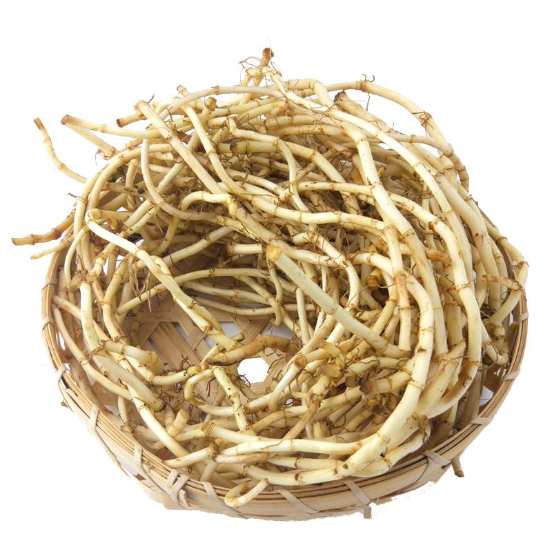 鲜香脆嫩折耳根新鲜蔬菜鱼腥草现挖带泥侧耳根根猪鼻孔节节根