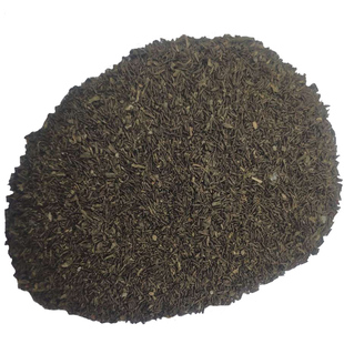 苦草纯种籽苦草籽叶扁担草籽鸭舌水韭草苗淡水小龙虾蟹养殖水草子