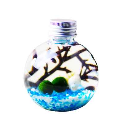 幸福陪伴小球藻DIY生态瓶送工具