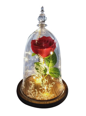 玻璃罩求婚永生花送女友礼物