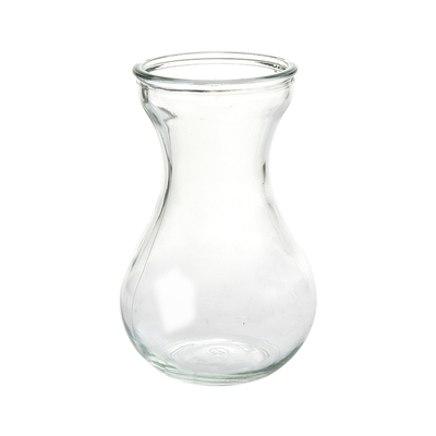 透明玻璃瓶植物水培风信子小清新