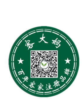 野生倒吊黄根黄花倒水莲黄花大远志观音串倒吊王黄花参黄花倒水连