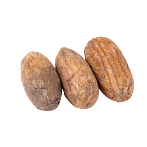 千眼菩提子原籽 鳄鱼果 精品通货长度5-10厘米 无虫眼无坏果