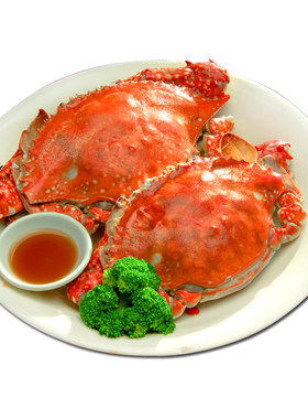 鲜活满黄母蟹红膏蟹二母蟹