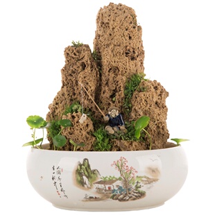 上水石 吸水石 假山盆景摆件配件小石头微景观水培盆栽装饰品园艺