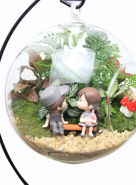 苔藓微景观DIY材料包可开发票