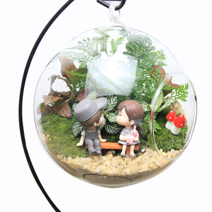 苔藓微景观DIY生态瓶玻璃创意迷你植物礼物办公室桌面盆栽材料包