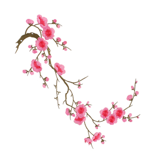 舞台演出服服装辅料DIY亮片花珠片花领花胸花大牛头亮片花金银彩