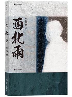 后浪正版 西北雨 童伟格魔幻现实主义代表作品印刻文学港台当代长篇小说家族故事书籍