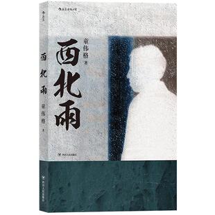 后浪正版 西北雨 童伟格魔幻现实主义代表作品印刻文学港台当代长篇小说家族故事书籍