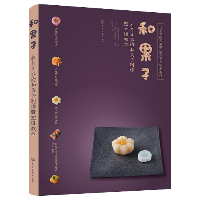 微积分同济大学第四版上下册