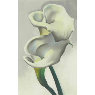 两朵马蹄莲 Georgia O'Keeffe 欧姬芙艺术装饰画客厅书房玄关酒吧